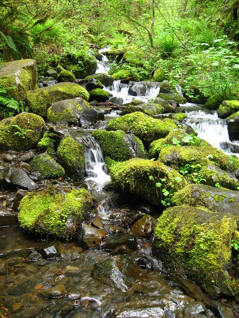 Eagle Creek-165.JPG - Eagle Creek